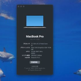 MacBook Pro (2019) 16インチ １６G 1T