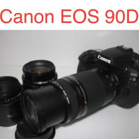 デジタル一眼レフカメラCanon EOS 90D標準&望遠&単焦点レンズセット