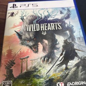 WILD HEARTS PS5 新品 1,000円 中古 1,000円 | ネット最安値の価格比較