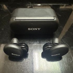 SONY ワイヤレスイヤホン WF-H800