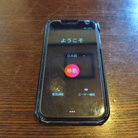 Palm phone