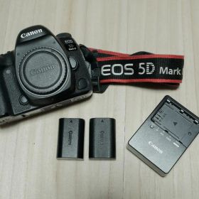 値下げ中※Canon EOS 5D Mark IV本体 バッテリー2個⭐︎充電器