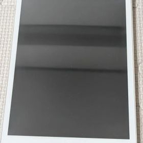 Apple iPad mini 第一世代 16GB WiFiモデル 本体のみ