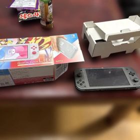 Nintendo Switch Lite ディアルガ・パルキア 訳あり