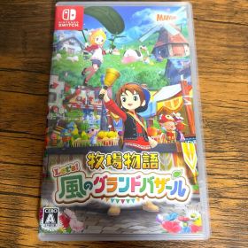 Switch 牧場物語 Let's!風のグランドバザール