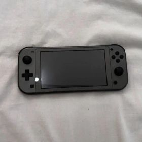 【美品】NintendoSwitch lite ディアルガ パルキア ※おまけ有