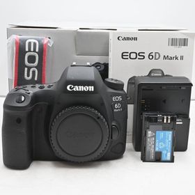 シャッター回数『4043』Canon デジタル一眼レフカメラ EOS 6D Mark II ボディ