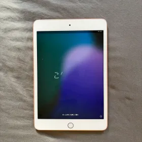 Apple iPad mini 2019 (第5世代) 新品¥12,000 中古¥8,800 | 新品・中古