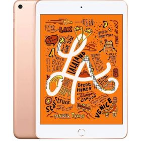 Apple iPad mini (第５世代) 64GB ゴールド