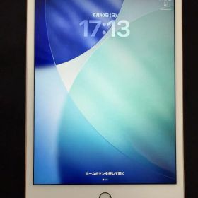 iPad mini 7.9インチ第5世代 256GB セルラーモデル