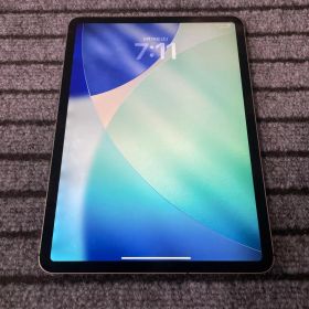 64 iPad Pro 11インチ 1世代 256GB SIMフリー