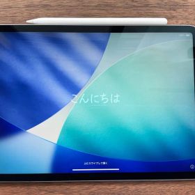 iPad Pro 11インチ 256GB + Apple Pencilセット
