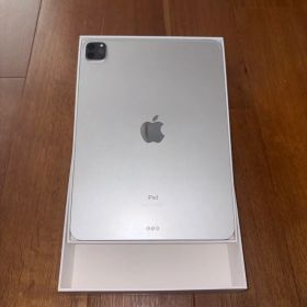 【2024年購入】iPad Pro 11 第2世代 256GB Wi-Fiモデル