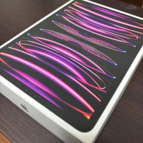 【極美品】iPadPro11 第4世代 128GB Wi-Fi+Cellular
