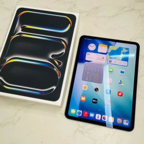 WW1082 iPad Pro 11インチ 第5世代 256GB