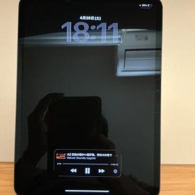 Apple iPad Pro 11インチ (M4) スペースグレー 256GB