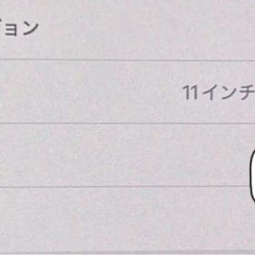 11インチ iPad Pro (M4) 本体のみ 3日間限定値下げ