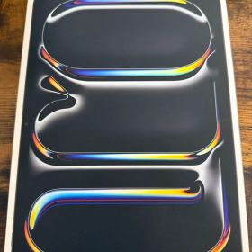 【美品】iPad Pro（M4） 11インチ 256GBモデル スペースグレー