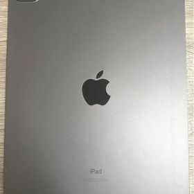 ジャンク iPad Pro 11 第3世代 256GB Wi-Fi 液晶漏れ