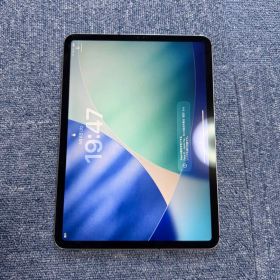 iPad Pro 第2世代 11インチ 256GB Cellularモデル