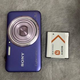 SONY Cyber-shot DSC-WX7 981