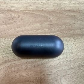 Sony ワイヤレスイヤホン ブラック WF-C500