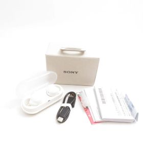 未使用SONYソニーWF-C500ワイヤレスイヤホン1点線HM1015