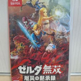 ゼルダ無双 厄災の黙示録 Nintendo Switchソフト