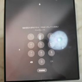galaxy z fold 6 docomo版 simフリー256GB
