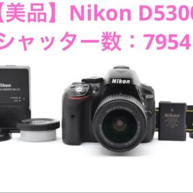 【美品】Nikon D5300 レンズセット #J2