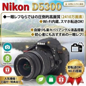 【美品】Nikon D5300 WiFi機能付 動画撮影可能 初めての一眼レフ