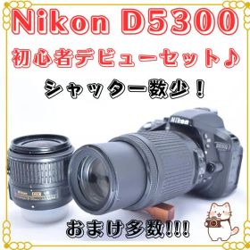 Nikon D5300 デジタル一眼レフ シャッター数4000回