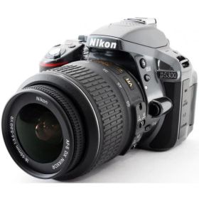 デジタル一眼 ニコン Nikon ニコン D5300 レンズキット グレー 中古 Wi-Fi搭載 スマホに送れる 届いてすぐに使える 付属品充実 動画撮影 激レアカラー 美品 長期保証