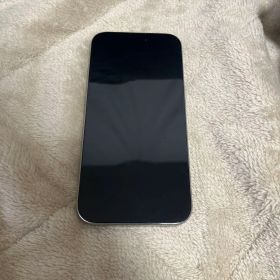 Apple iPhone 15 Pro シルバー 本体