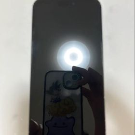 iPhone15 promax 256GB