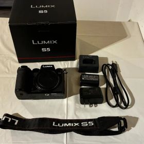 【センサークリーニング済】＜付属品完備＞ LUMIXDC-S5