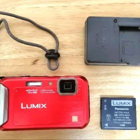 [動作確認済】LUMIX DMC-FT20 デジタルカメラ レッド