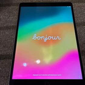 Apple iPad pro 10.5インチ 256GB 本体のみ