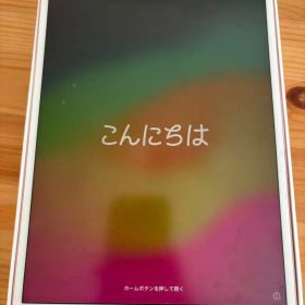 iPad Pro 10.5インチ ローズゴールド 本体