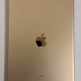 iPad Pro 10.5 256GB セルラー A1709【傷あり・おまけ付】