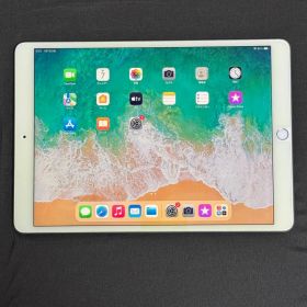 iPad Pro 10.5 A1701 256GB Wi-Fi バッテリー98%