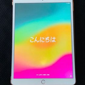 iPad Pro 本体 10.5インチ 256GB Apple Pencil付き