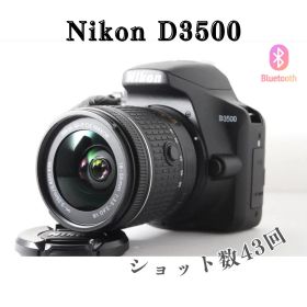 ショット数43枚 Nikon D3500✨AF-P ほぼ新品 高画質 スマホ転送