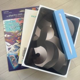iPad Air (第5世代) 10.9インチ スターライト 256GB Wi…