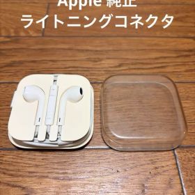 Apple純正 EarPods ライトニング コネクタ ケース付き