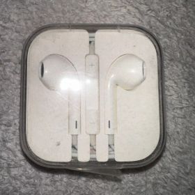 Apple EarPods ホワイト ケース付き①