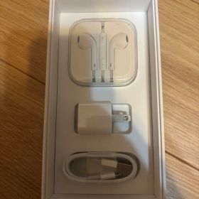Apple EarPods & USBアダプタ & Lightningケーブル