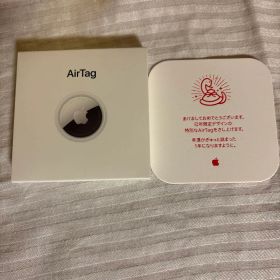 Apple AirTag エアタグ 本体 巳年 ヘビ