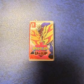【希少限定品】ポケットモンスター シールド・ソード カセット入れ