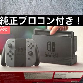 Nintendo Switch 初期型 2018プロコン付き 動作確認済み